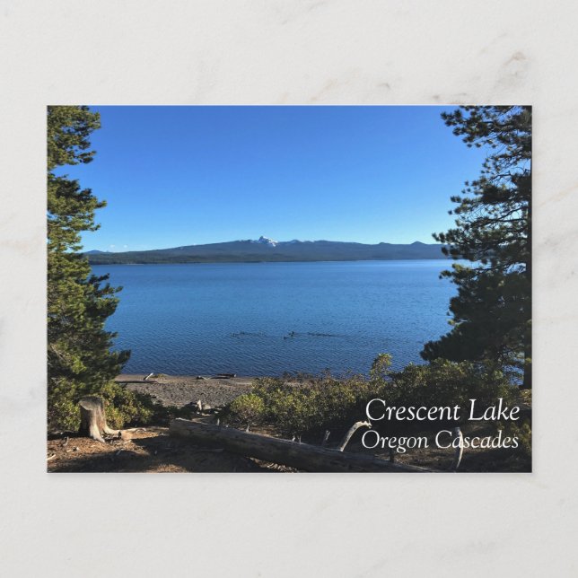 Crescent Lake, Oregon Postcard (Front)