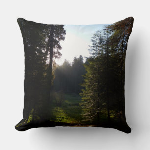 Crescent Meadow Morning at Sequoia National Park Cushion