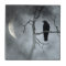 Crescent Moon Lit Crow
