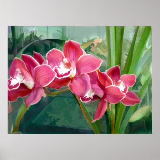 Crescent of Cymbidium Poster