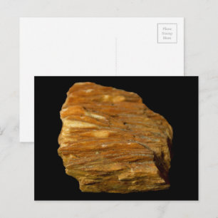 Crested Barite Mineral Rock Nature Photography Postcard