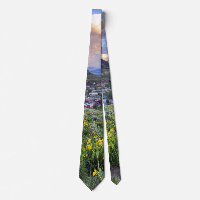 Crested Butte, CO Photograph Tie (Front)