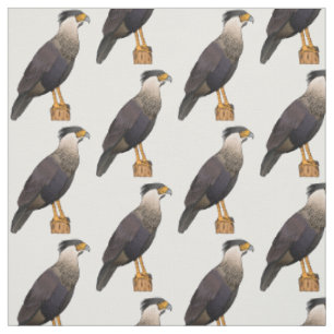 Crested caracara bird cartoon illustration  fabric