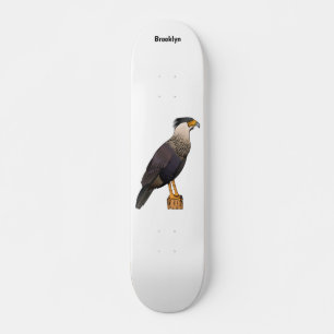 Crested caracara bird cartoon illustration skateboard