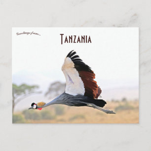Crested Crane in Tanzania  Postcard