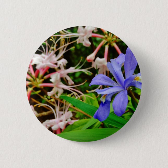 Crested Dwarf Iris 6 Cm Round Badge (Front)