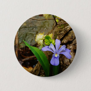 Crested Dwarf Iris blue purple white flower 6 Cm Round Badge