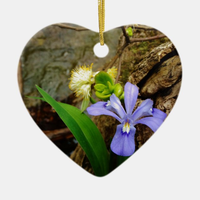 Crested Dwarf Iris blue purple white flower Ceramic Ornament (Front)