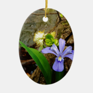 Crested Dwarf Iris blue purple white flower Ceramic Tree Decoration