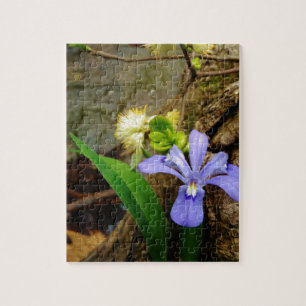 Crested Dwarf Iris blue purple white flower Jigsaw Puzzle