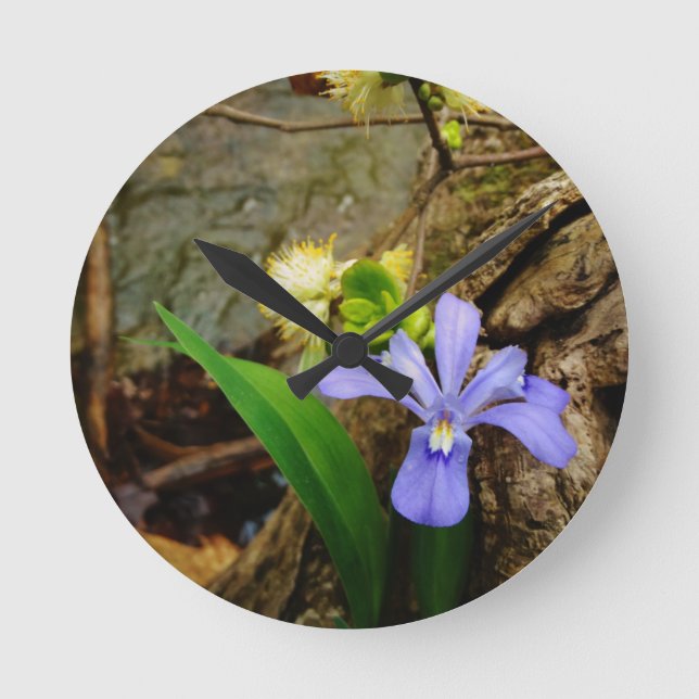 Crested Dwarf Iris blue purple white flower Round Clock (Front)
