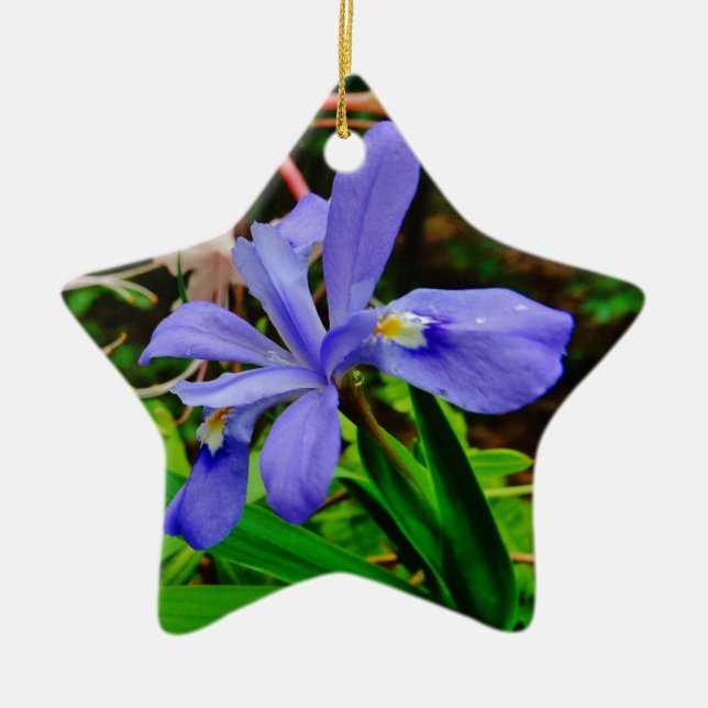 Crested Dwarf Iris Ceramic Ornament (Front)