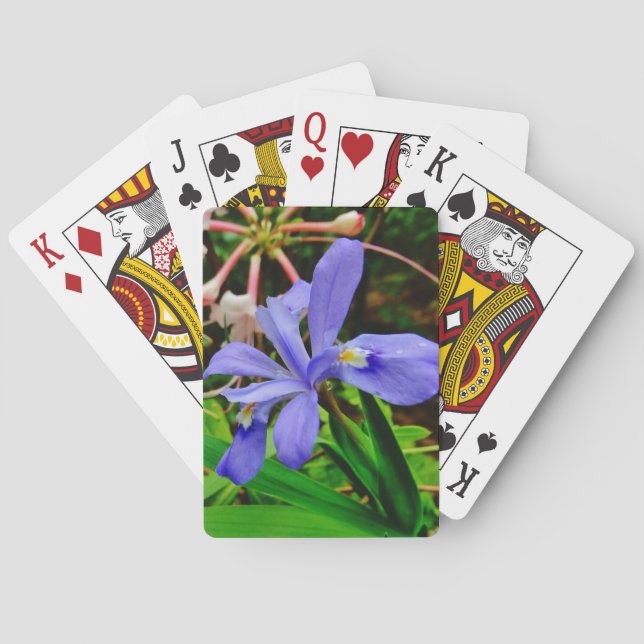 Crested Dwarf Iris Playing Cards (Back)
