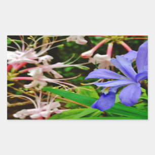 Crested Dwarf Iris Rectangular Sticker