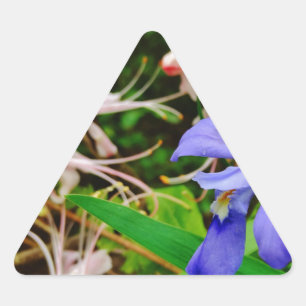Crested Dwarf Iris Triangle Sticker