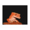 crested gecko