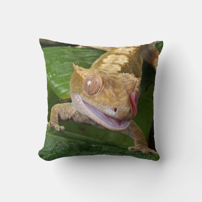 Crested Gecko Cushion (Front)