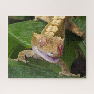Crested Gecko Jigsaw Puzzle