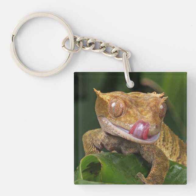 Crested Gecko Key Ring (Front)