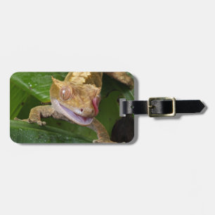 Crested Gecko Luggage Tag