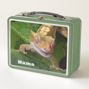 Crested Gecko Metal Lunch Box