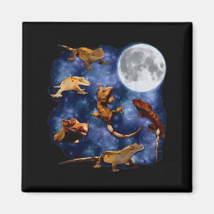 Crested Gecko Moon Retro Reptile Mom Dad Breeder L Magnet