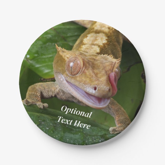 Crested Gecko Paper Plate (Front)
