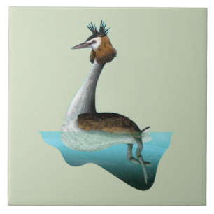 Crested Grebe Ceramic Tile