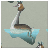 Crested Grebe