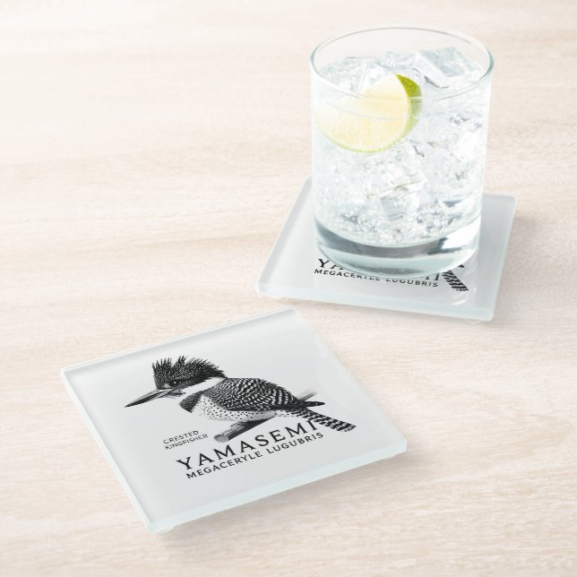 Crested Kingfisher Black & White Glass Coaster (Angled)