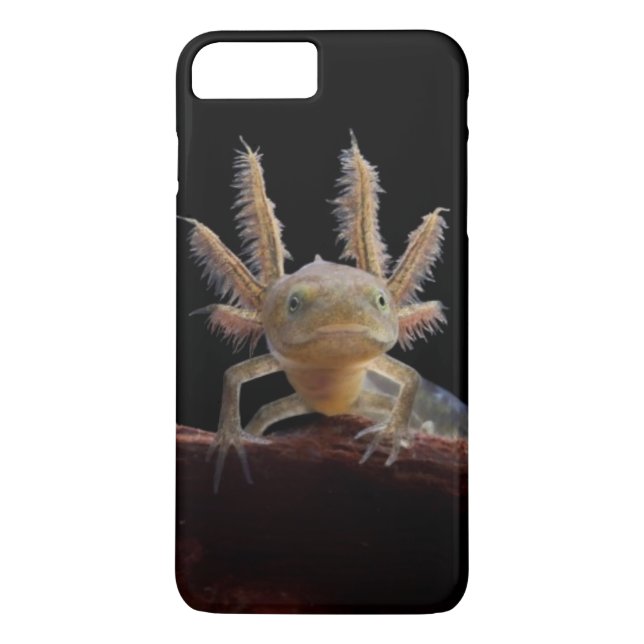 Crested newt larve Case-Mate iPhone case (Back)