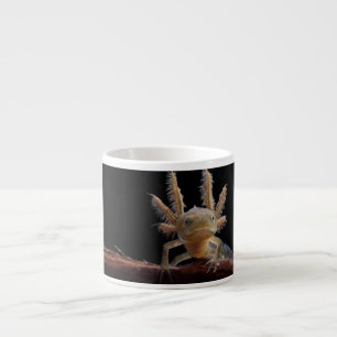 Crested newt larve espresso cup