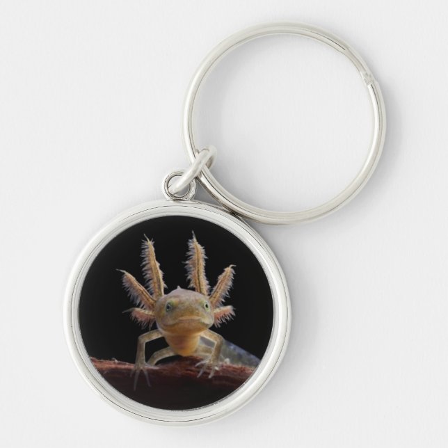 Crested newt larve key ring (Front)