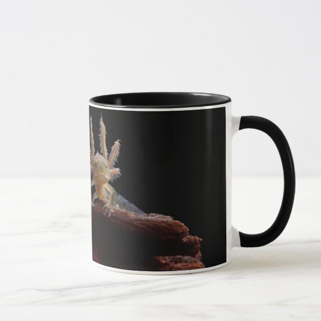 Crested newt larve mug (Right)