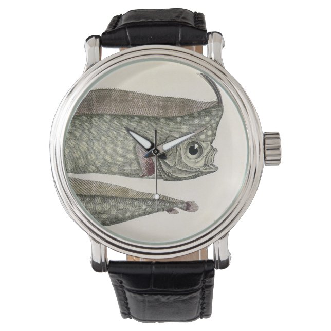 Crested Oarfish Fish, Vintage Marine Aquatic Life Watch (Front)