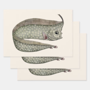 Crested Oarfish Fish, Vintage Marine Aquatic Life Wrapping Paper Sheet