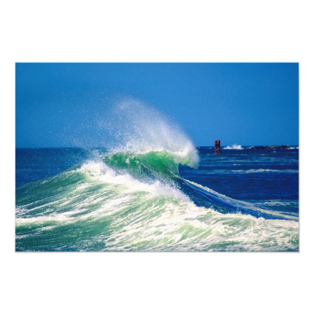 Crested Photo Print (Front)