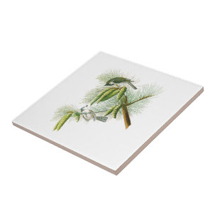 Crested Titmouse John James Audubon Birds America Tile