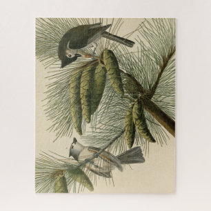 Crested (Tufted) Titmouse Audubon Birds of America Jigsaw Puzzle