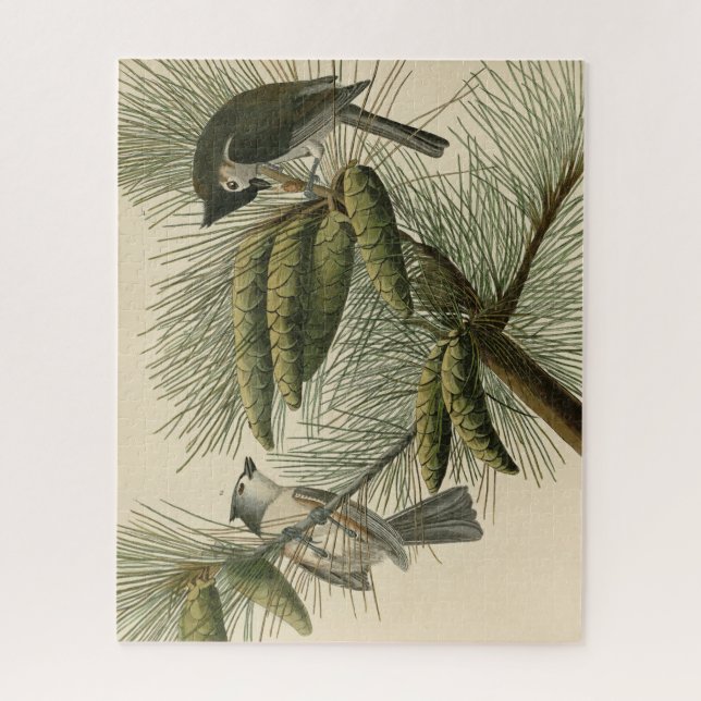 Crested (Tufted) Titmouse Audubon Birds of America Jigsaw Puzzle (Vertical)