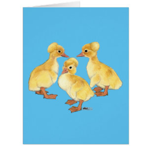 Crested White Ducklings