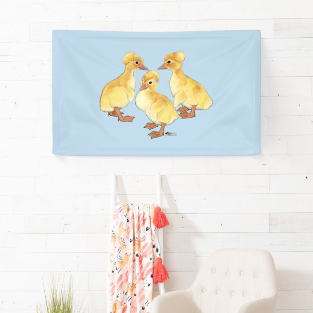 Crested White Ducklings Banner (Insitu)