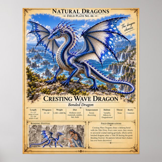 Cresting Wave Field Plate Poster (Front)