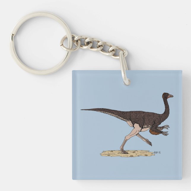 Cretaceous Dinosaur Ornithomimus Key Ring (Front)