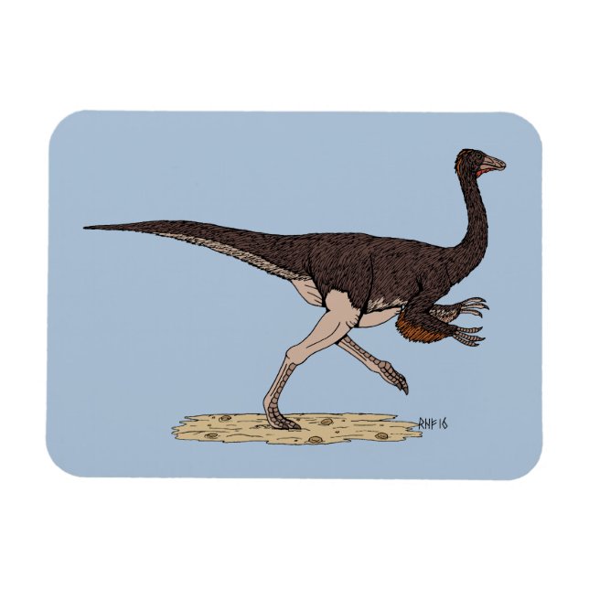 Cretaceous Dinosaur Ornithomimus Magnet (Horizontal)