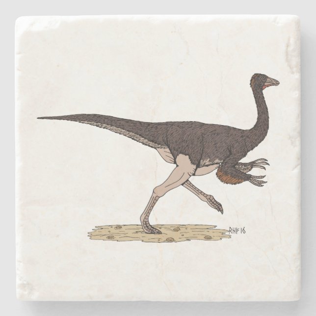 Cretaceous Dinosaur Ornithomimus Stone Coaster (Front)