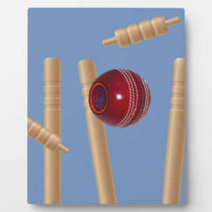 Cricket Ball And Stumps, Plaque