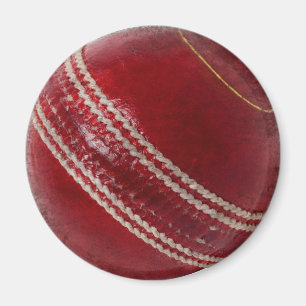 CRICKET BALL MAGNET