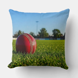 Cricket Ball on Boundary Mark Cushion