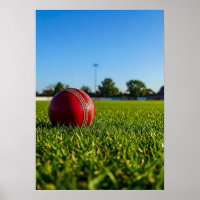 Cricket Ball on Boundary Mark